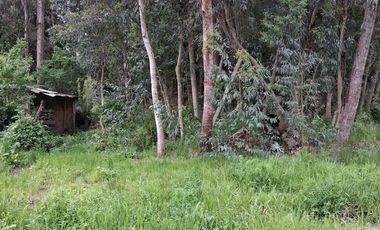 Excelente oportunidad – Camino Bobadilla, San Javier