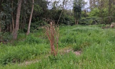 Excelente oportunidad – Camino Bobadilla, San Javier