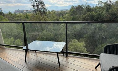 ESTUPENDO DEPARTAMENTO EN RENTA POLANCO, CAMPOS ELISEOS