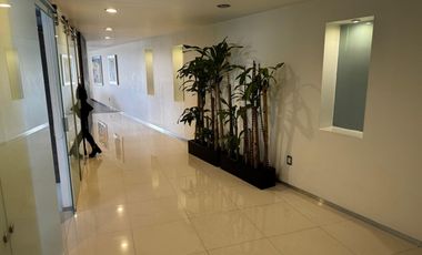 ESTUPENDO DEPARTAMENTO EN RENTA POLANCO, CAMPOS ELISEOS