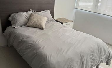 ESTUPENDO DEPARTAMENTO EN RENTA POLANCO, CAMPOS ELISEOS