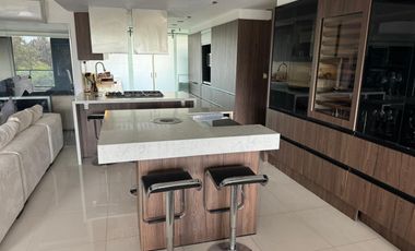 ESTUPENDO DEPARTAMENTO EN RENTA POLANCO, CAMPOS ELISEOS