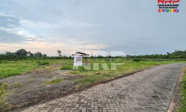 Dijual Tanah Kavling Siap Bangun di Bulusari, Jajag - Banyuwangi