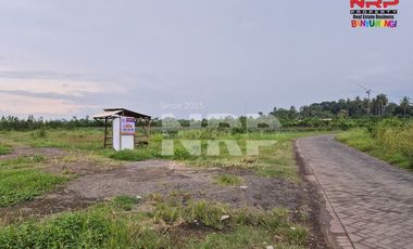 Dijual Tanah Kavling Siap Bangun di Bulusari, Jajag - Banyuwangi