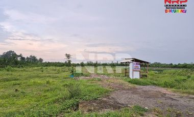 Dijual Tanah Kavling Siap Bangun di Bulusari, Jajag - Banyuwangi