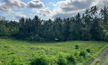 Dijual Tanah lokasi banjar dinas sukawati,selemadeg, tabanan 1km ke jalan utama denpasar-gilimanuk.