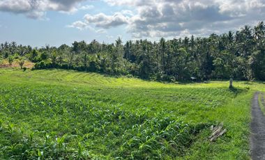 Dijual Tanah lokasi banjar dinas sukawati,selemadeg, tabanan 1km ke jalan utama denpasar-gilimanuk.
