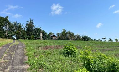 Dijual Tanah lokasi banjar dinas sukawati,selemadeg, tabanan 1km ke jalan utama denpasar-gilimanuk.