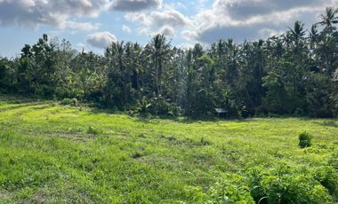 Dijual Tanah lokasi banjar dinas sukawati,selemadeg, tabanan 1km ke jalan utama denpasar-gilimanuk.