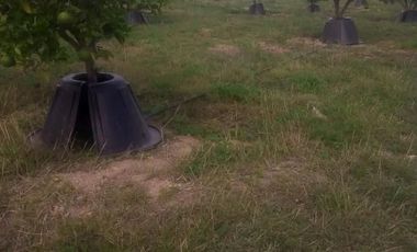 Venta de Magnifico Rancho en Hualahuises