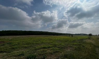 Venta de Magnifico Rancho en Hualahuises