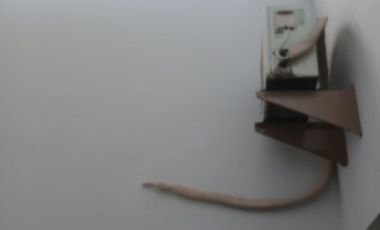 SEWA Rumah Siap Huni Nirwana Eksekutif AA Surabaya