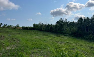 Dijual Tanah lokasi banjar dinas sukawati,selemadeg, tabanan 1km ke jalan utama denpasar-gilimanuk