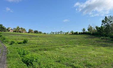 Dijual Tanah lokasi banjar dinas sukawati,selemadeg, tabanan 1km ke jalan utama denpasar-gilimanuk