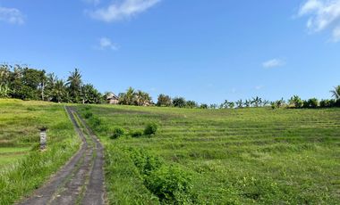 Dijual Tanah lokasi banjar dinas sukawati,selemadeg, tabanan 1km ke jalan utama denpasar-gilimanuk