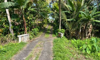 Dijual Tanah lokasi banjar dinas sukawati,selemadeg, tabanan 1km ke jalan utama denpasar-gilimanuk