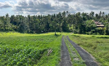 Dijual Tanah lokasi banjar dinas sukawati,selemadeg, tabanan 1km ke jalan utama denpasar-gilimanuk