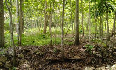 Tanah SHM Pekarangan Area Jurang Jero Giripeni Wates