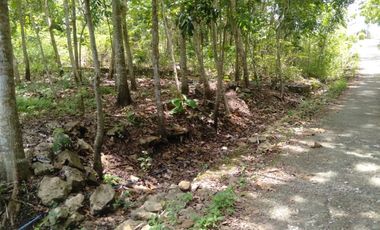 Tanah SHM Pekarangan Area Jurang Jero Giripeni Wates