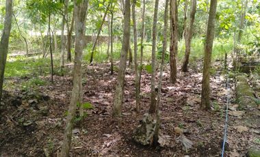 Tanah SHM Pekarangan Area Jurang Jero Giripeni Wates