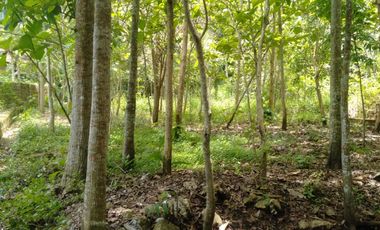 Tanah SHM Pekarangan Area Jurang Jero Giripeni Wates