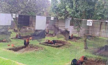 RANCHO EL MOLCAJETE EN VENTA