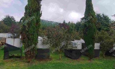 RANCHO EL MOLCAJETE EN VENTA