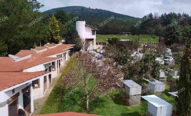 RANCHO EL MOLCAJETE EN VENTA