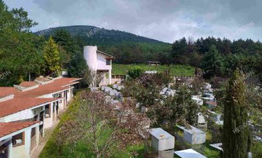 RANCHO EL MOLCAJETE EN VENTA