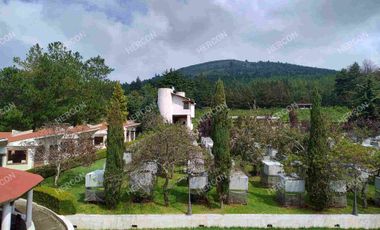 RANCHO EL MOLCAJETE EN VENTA