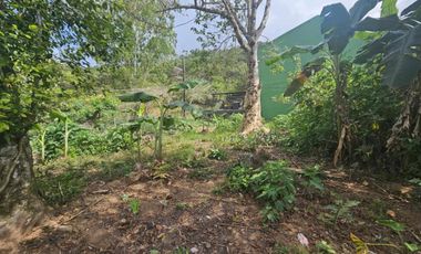 For Sale! Loakan Flat Terrain Lot 331sqm