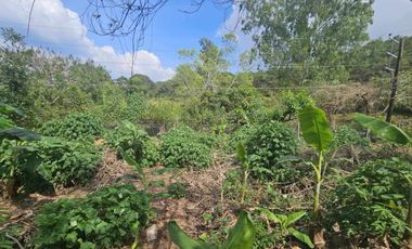 For Sale! Loakan Flat Terrain Lot 331sqm