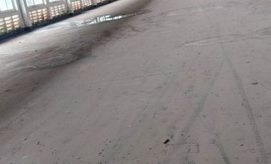 Disewakan Pabrik / Gudang Purwasari Karawang Timur