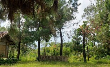 Land for Sale with Villa on Main Road, Jl. Cibodas, Lembang, Bandung