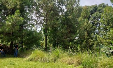 Land for Sale with Villa on Main Road, Jl. Cibodas, Lembang, Bandung