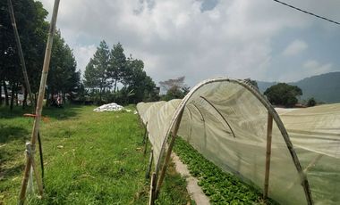 Land for Sale with Villa on Main Road, Jl. Cibodas, Lembang, Bandung