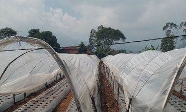 Land for Sale with Villa on Main Road, Jl. Cibodas, Lembang, Bandung