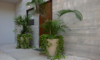 NADER 9: Tu Nuevo Hogar en el Corazón de Cancún