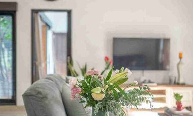 2 BEDROOMS COZY VILLA IN KROBOKAN BALI FOR SALE