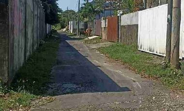 Tanah 800m2 cocok untuk usaha jalan utama gunung payung pandawa kutuh