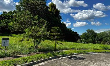 Foreclosed Property - 336 sqm for Sale Lot 2 Block 24 in Amiya Raya Highland Homes, San Mateo, Rizal