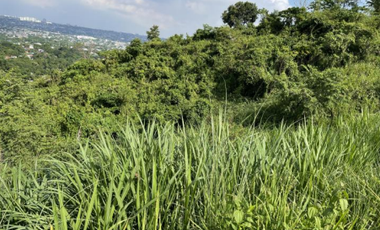 Foreclosed Property - 384 sqm for Sale Lot 3 Blk 24 in Amiya Raya Highland Homes, San Mateo, Rizal