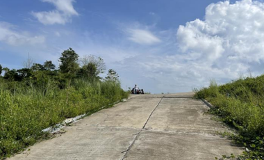 Foreclosed Property - 384 sqm for Sale Lot 3 Blk 24 in Amiya Raya Highland Homes, San Mateo, Rizal