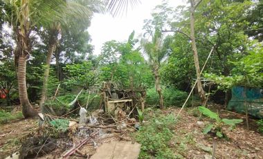FOR SALE - Interior Vacant Lot in Marulas, Valenzuela City