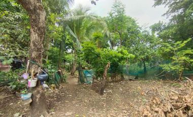 FOR SALE - Interior Vacant Lot in Marulas, Valenzuela City