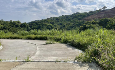 Foreclosed Property - 677 sqm for Sale Lot 4 Block 25 in Amiya Raya Highland Homes, San Mateo, Rizal