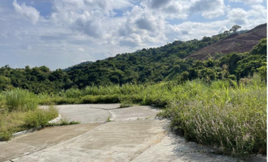 Foreclosed Property - 677 sqm for Sale Lot 4 Block 25 in Amiya Raya Highland Homes, San Mateo, Rizal