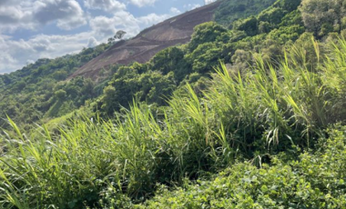 Foreclosed Property - 677 sqm for Sale Lot 4 Block 25 in Amiya Raya Highland Homes, San Mateo, Rizal