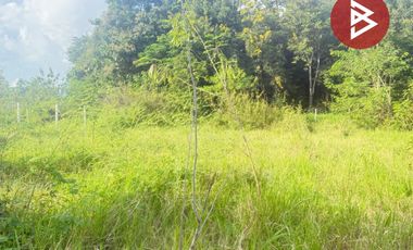 ขายที่ดิน เนื้อที่ 126.5 ตารางวา หมู่บ้านเบญจรงค์ หารแก้ว หางดง เชียงใหม่