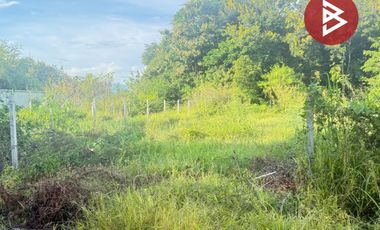 ขายที่ดิน เนื้อที่ 126.5 ตารางวา หมู่บ้านเบญจรงค์ หารแก้ว หางดง เชียงใหม่